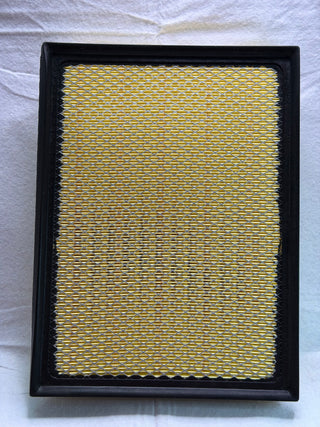 P903541 Donaldson Panel Air Filter