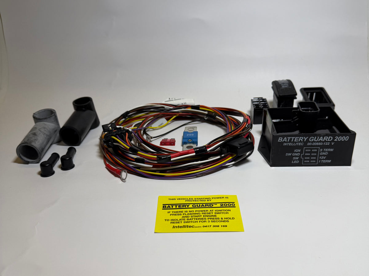 Intellitec 12V Battery Guard 2000, 200A, Heavy Duty - 507512SM