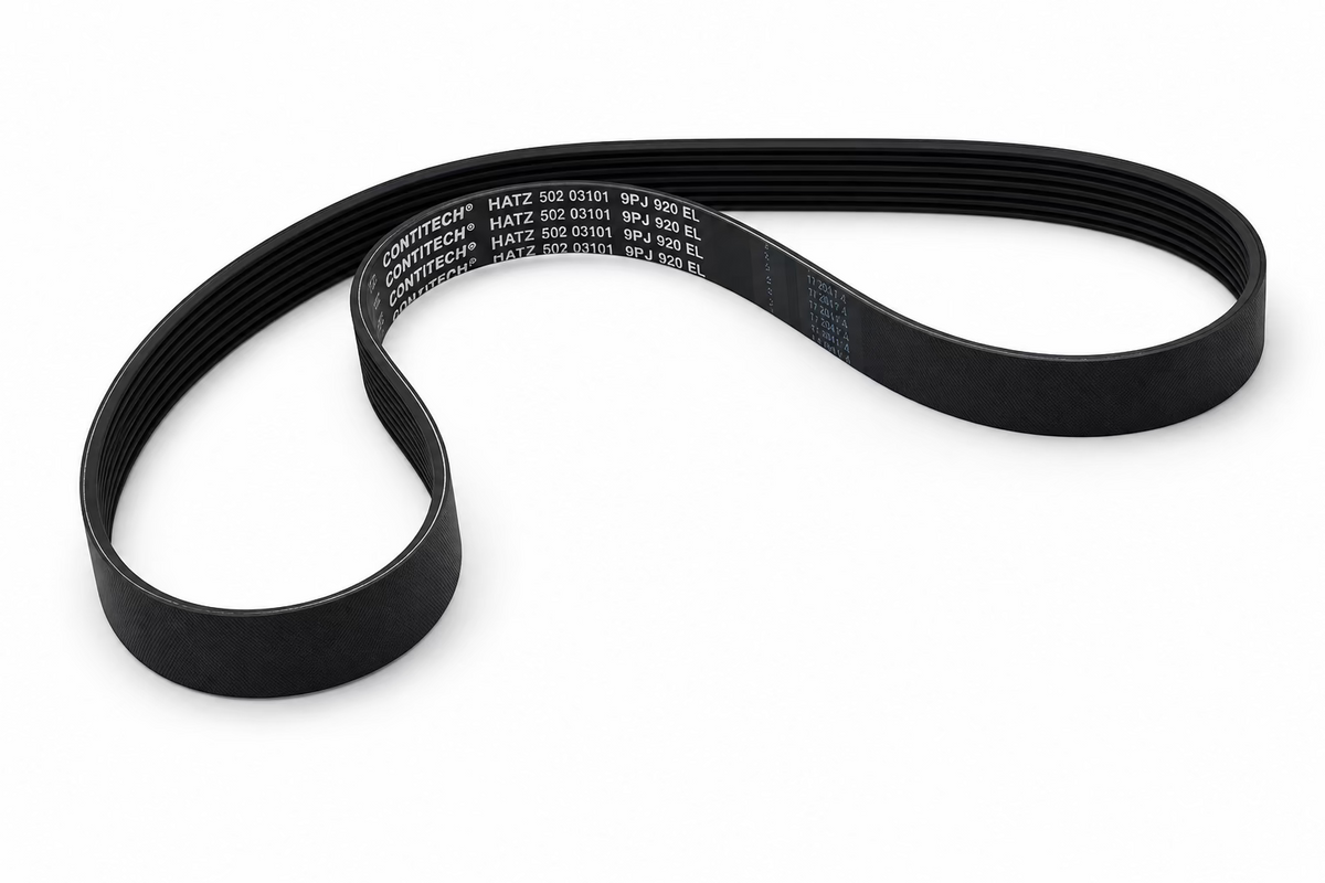 Hatz 50203101 (9PJ920EL) V-Belt