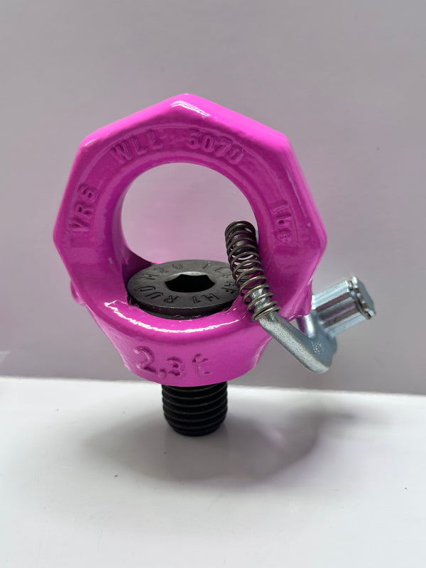 RUD VRS-F M20 Starpoint Eye Bolt (lockable) with Star Key - VIP Pink 7101315