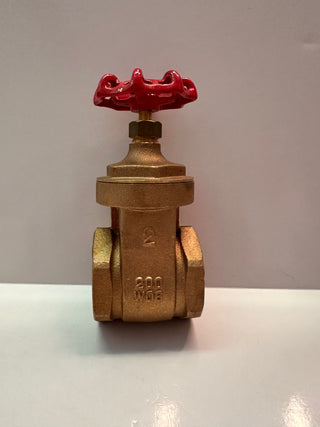 T101050 50mm BRASS GATE VALVE Pk 2