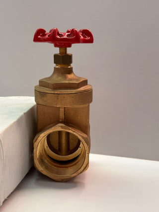 T101050 50mm BRASS GATE VALVE Pk 2