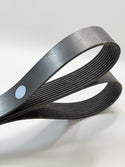 01-32731-715 Accessory Drive Belt, 10 Rib