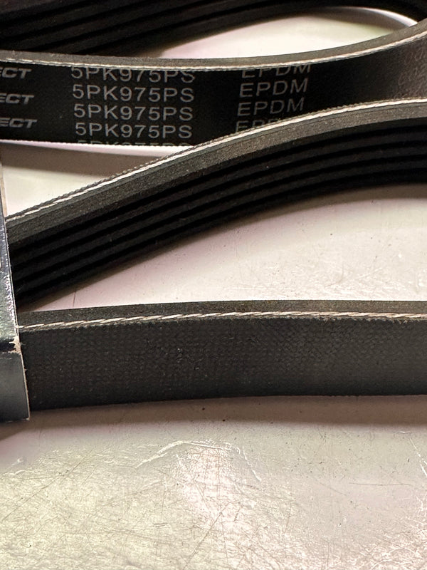 Proselect 5PK975PS Ribbed Drive Belt 5 Rib x 975mm