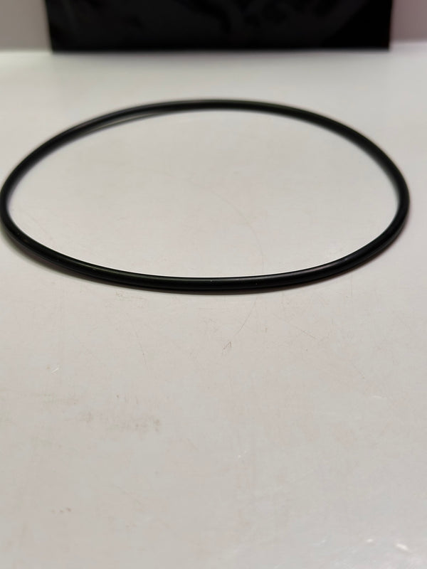 Pall H8900SKH 0-Ring Seal