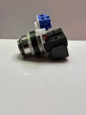 Austrol N100 WFC Pilot Light, Push to Test, Full Voltage