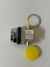 View image 6