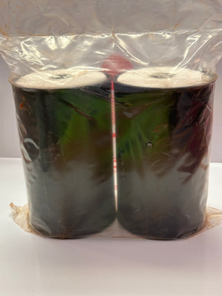 FM2000 Oil Element Filter