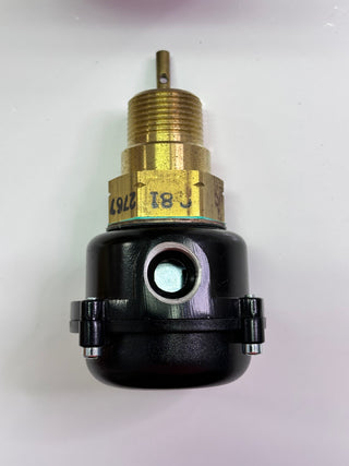 FS8-WJ  Flow Switch, Waterproof, 1 BSTP - 120602