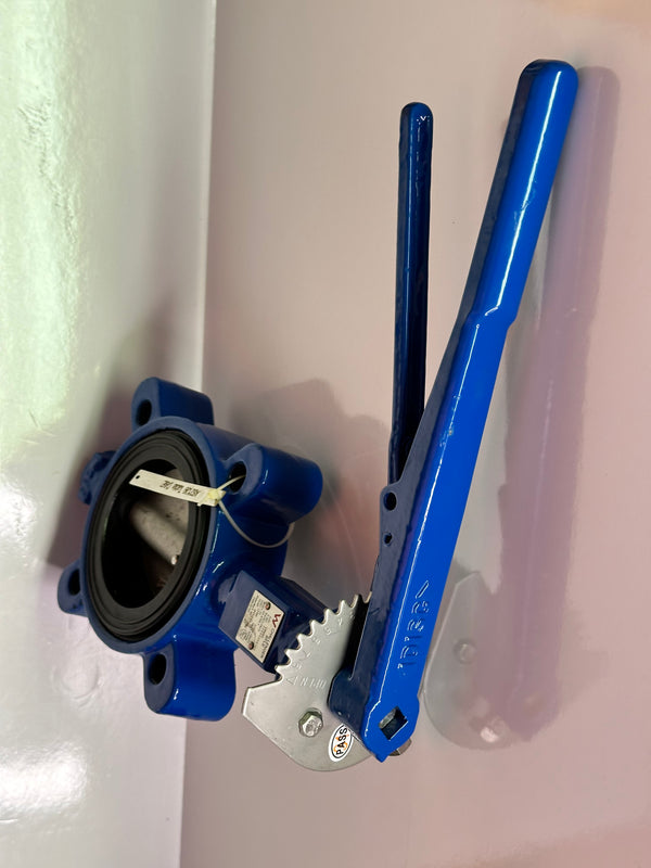 Watermark BFL80-L-E DN80 Lugged Butterfly Valve