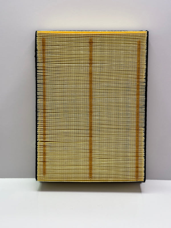 Fleetguard AF4276 Air Filter, Panel for Toyota
