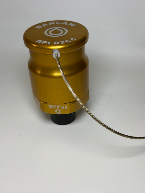 Banlaw BPLR2BE BEC Compatible Size 2 Flush Face BPL Receiver, 3/4" NPT, Gold with Cap