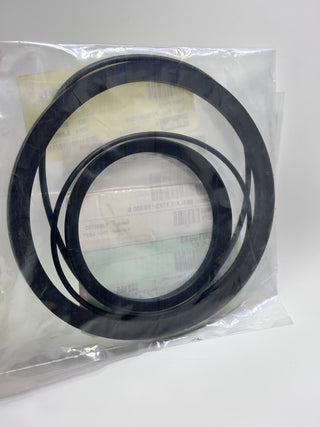 2049010013 TTF Seal Kit TTF2-170/300B