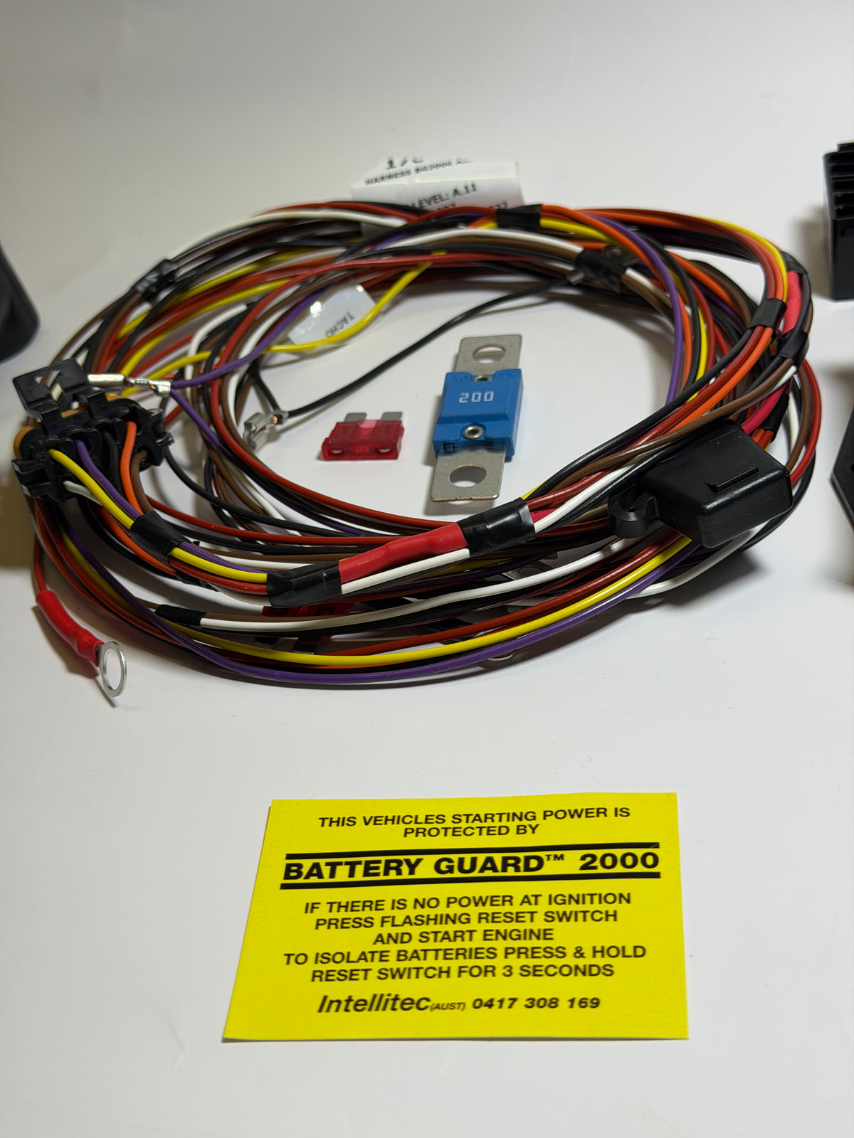 Intellitec 12V Battery Guard 2000, 200A, Heavy Duty - 507512SM