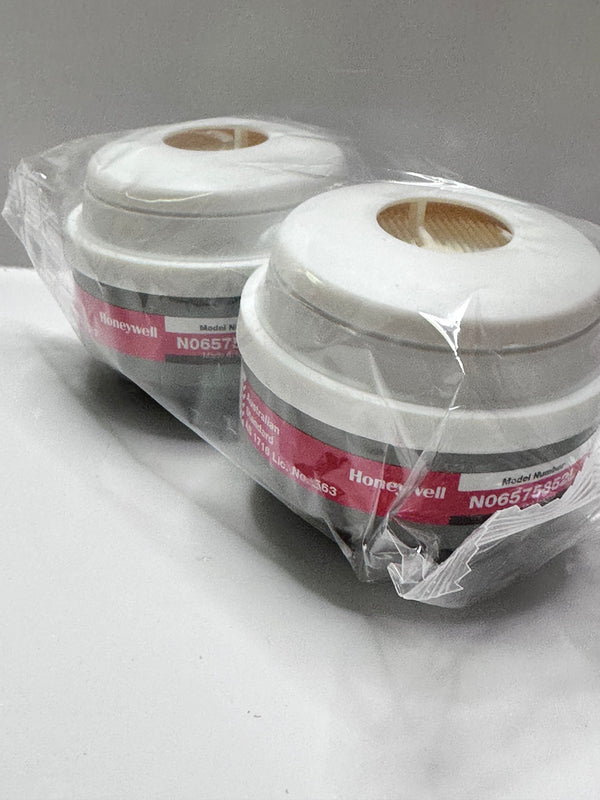 Honeywell N06575852L A1HgP3R N Series Cartridge & Filter, 1 x Pair