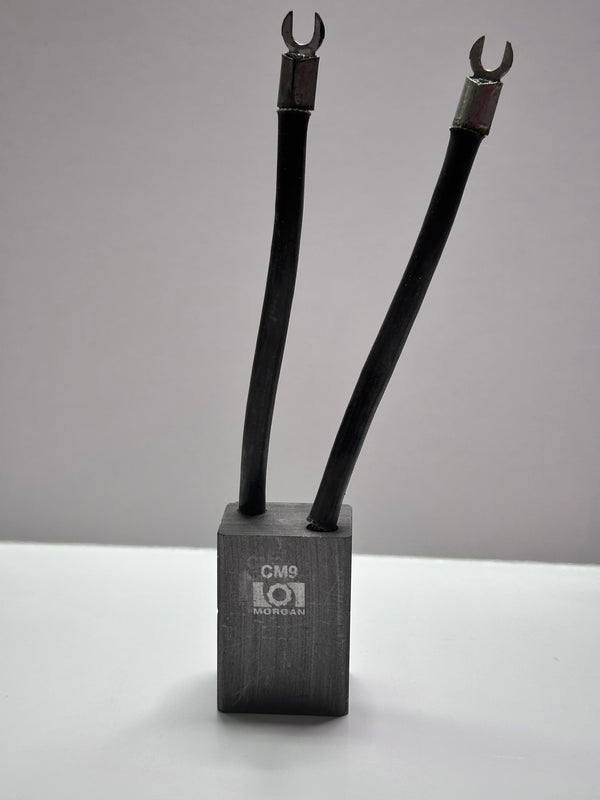 Morgan CM9 Carbon Brush 40mm X 25mm