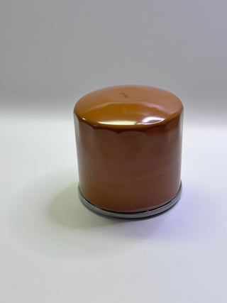 1559586 Match Oil Filter