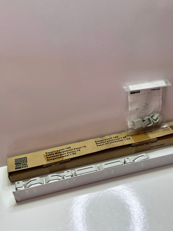 Rittal DK7159.035 Cable Management Panel with Plastic Rings