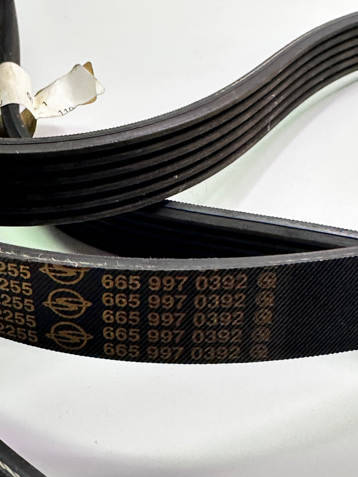 Ssangyong 6659970392 Genuine Poly-Grooved Drive Belt
