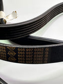 Ssangyong 6659970392 Belt, Poly Grooved