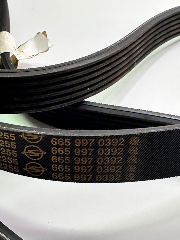 Ssangyong 6659970392 Belt, Poly Grooved