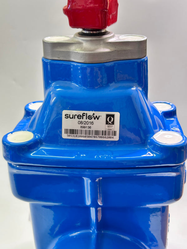 sureflow 899136 Resilient Seated Gate Valve with Stem Cap DN100