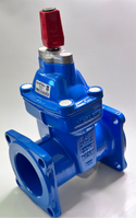sureflow 899136 Resilient Seated Gate Valve with Stem Cap DN100
