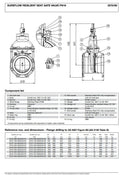 sureflow 899136 Resilient Seated Gate Valve with Stem Cap DN100