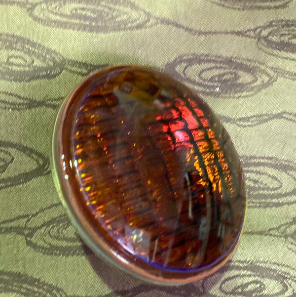 Caterpillar CAT 7G-9319 24-Volt 50-Watt Sealed Beam Spot Lamp, Yellow Lens