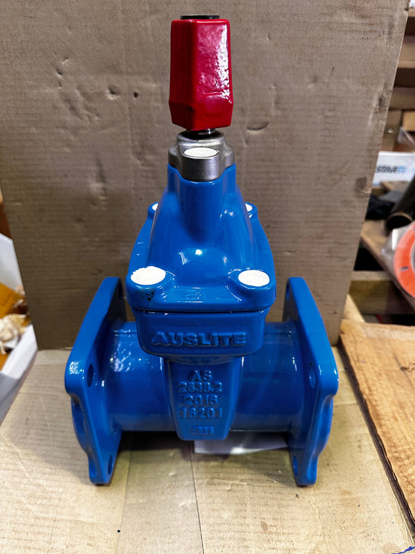 AUSLITE BIGA Resitliant Seated Gate Valve 2022408