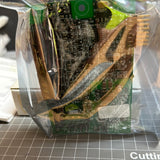 View image 5
