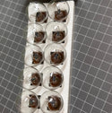 HELLA S1218/5V Globes for Combination Lamp, 10PK