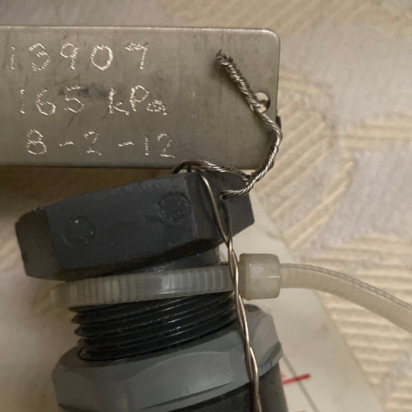 Plast-o-matic Pressure Relief Valve RVDM100V-PV